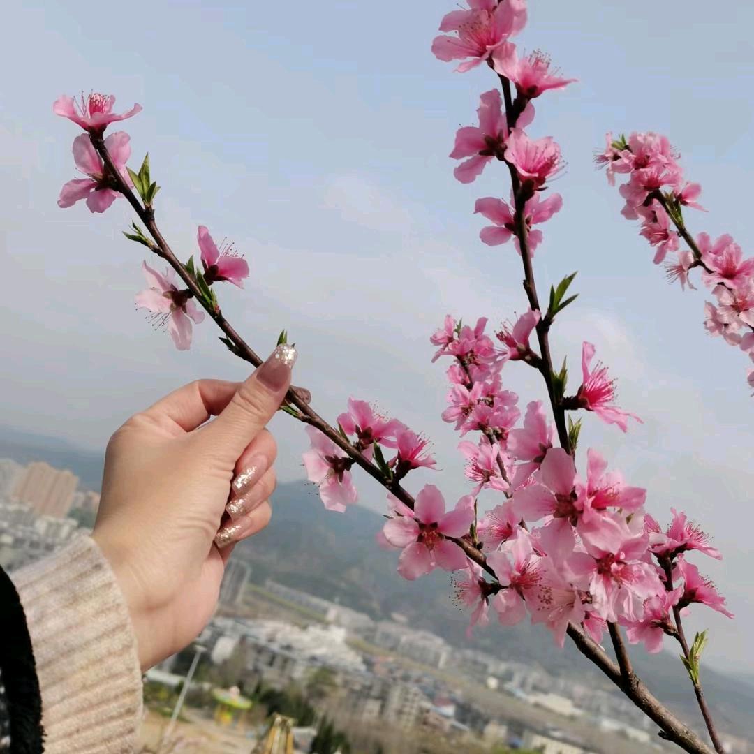 🍭微笑🍭