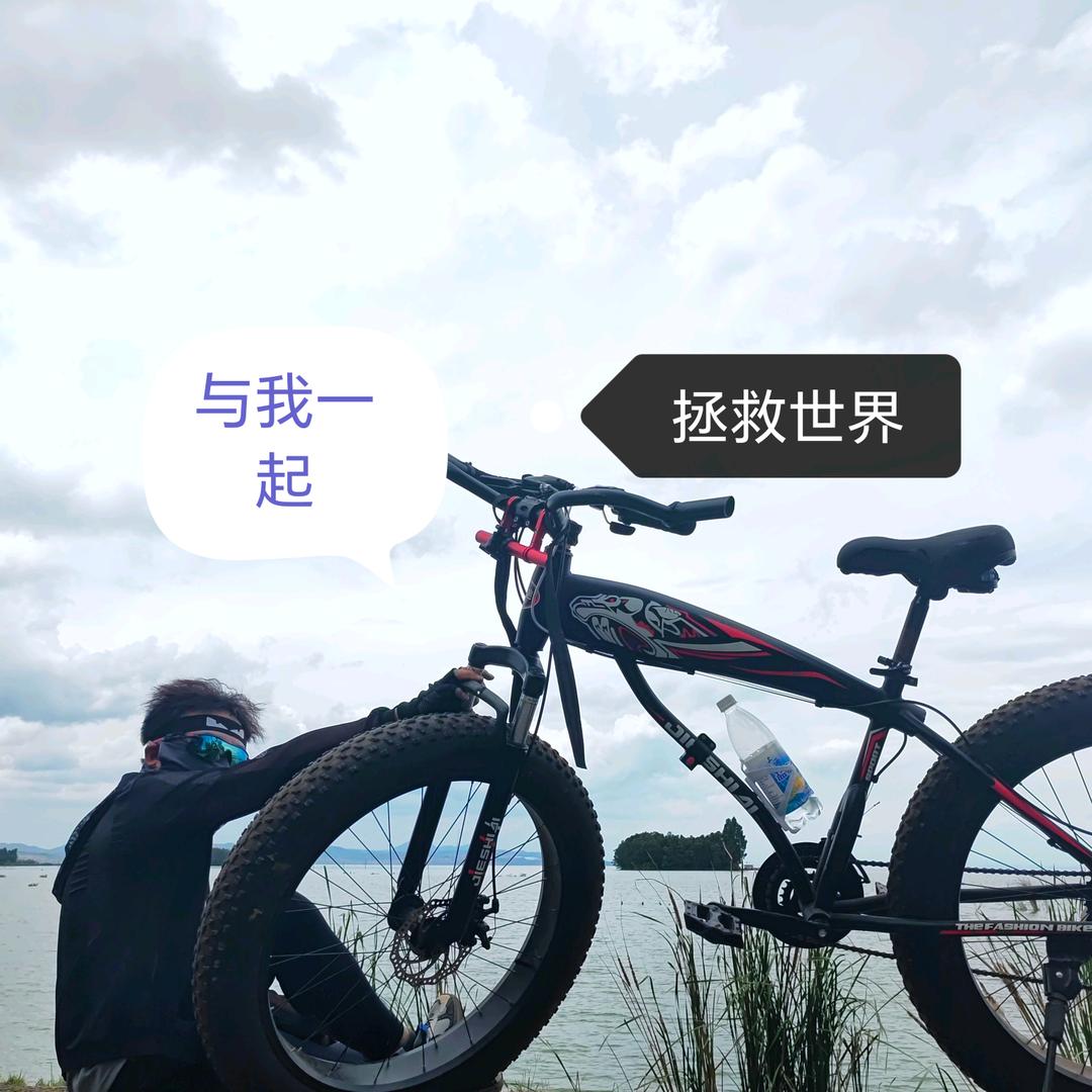 冰洛