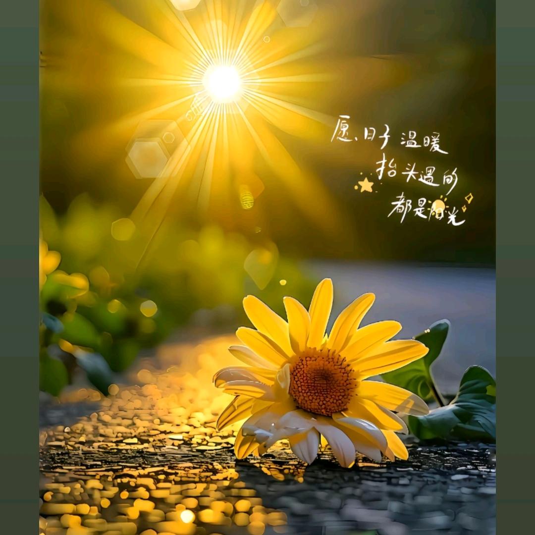 不見亦不念