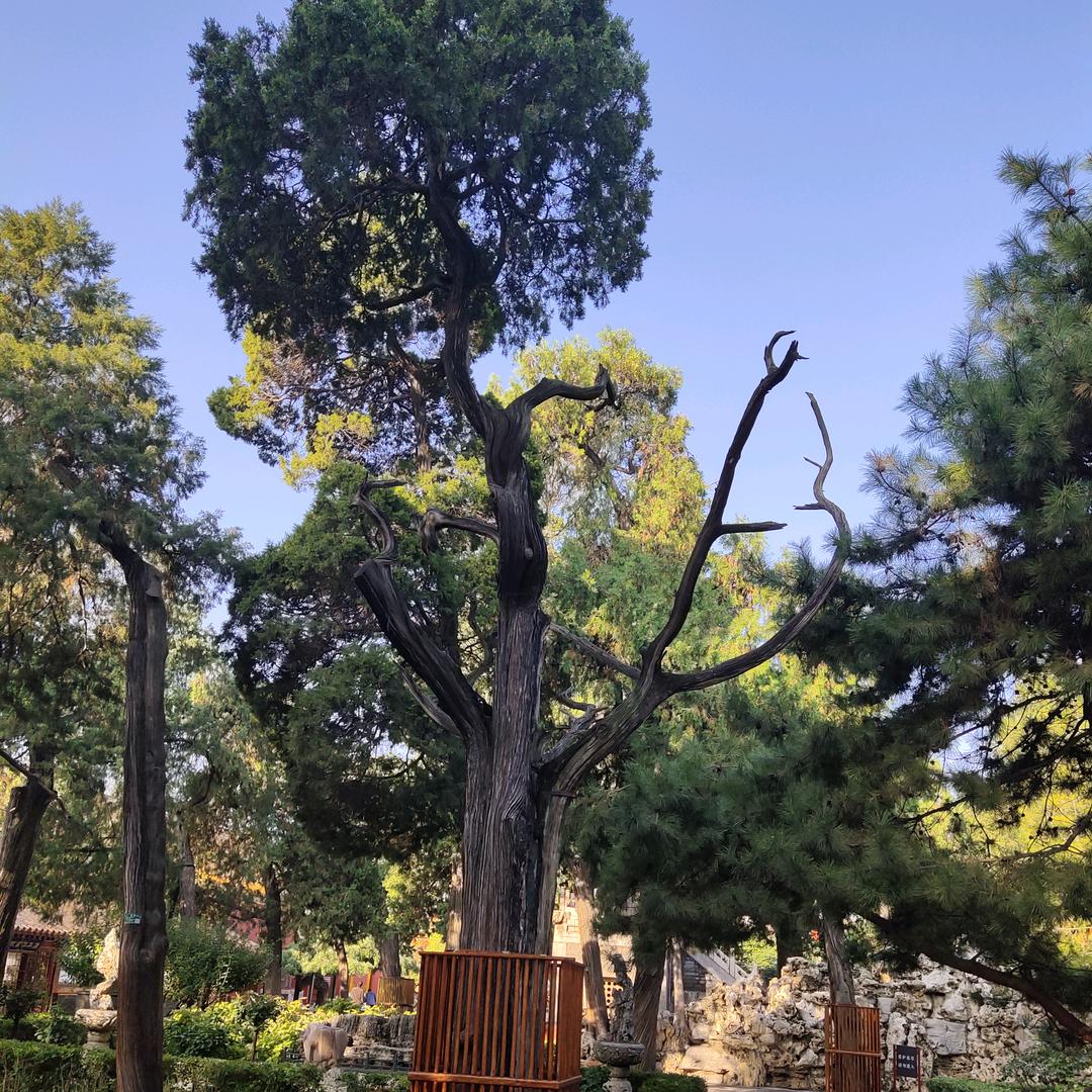 为你加油！！！！！！　☆  *　.