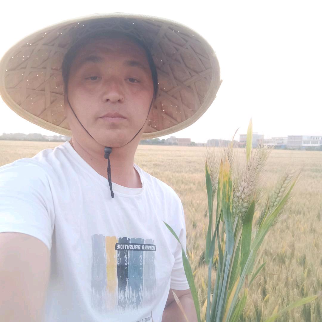 河南雷哥
