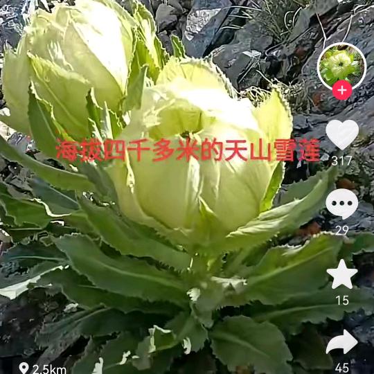 我是饶哥