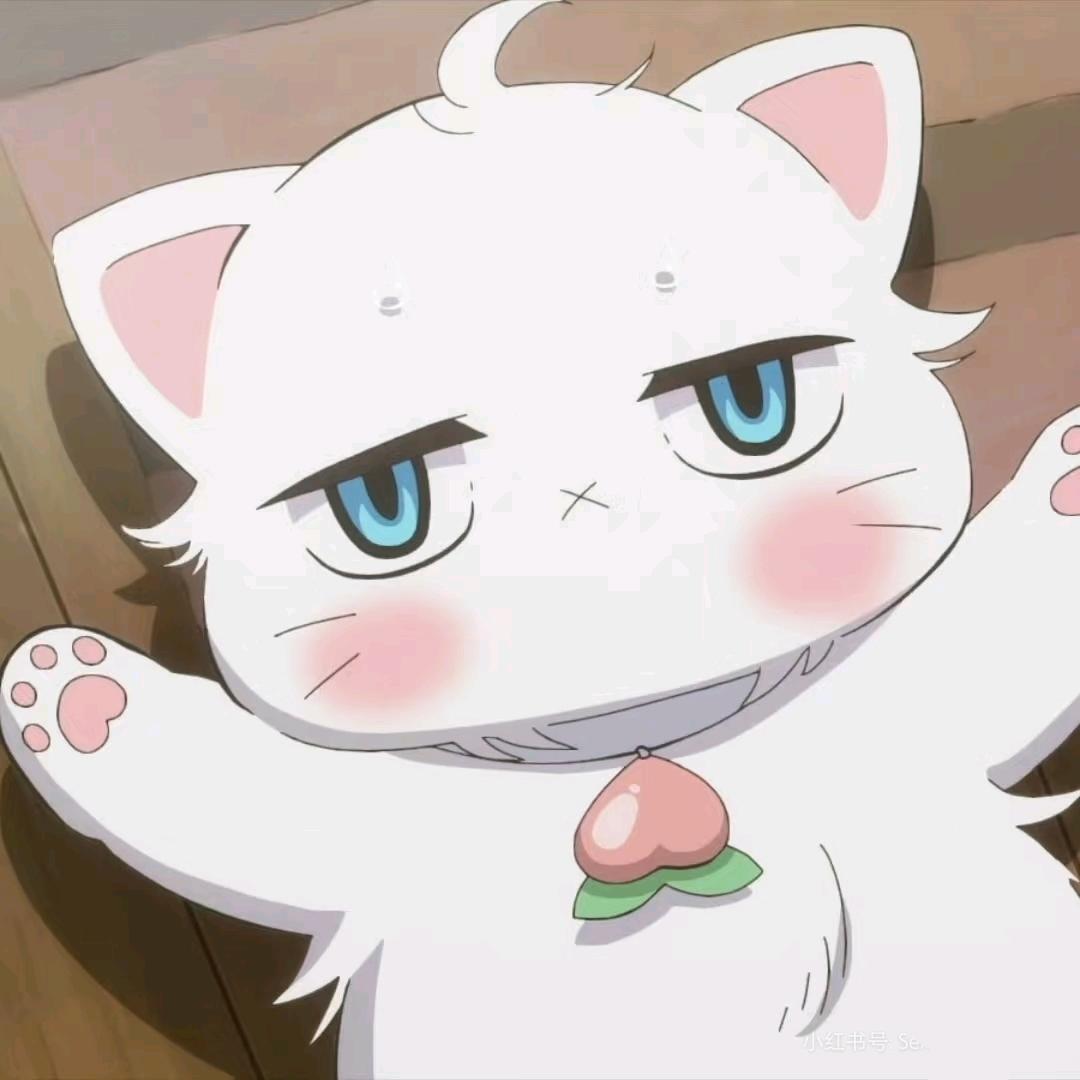 ⭐️星星摇摇椅