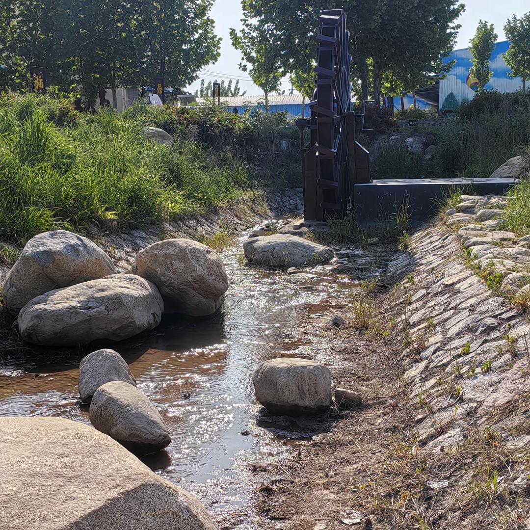 陪娃碎碎念（首播20:10）