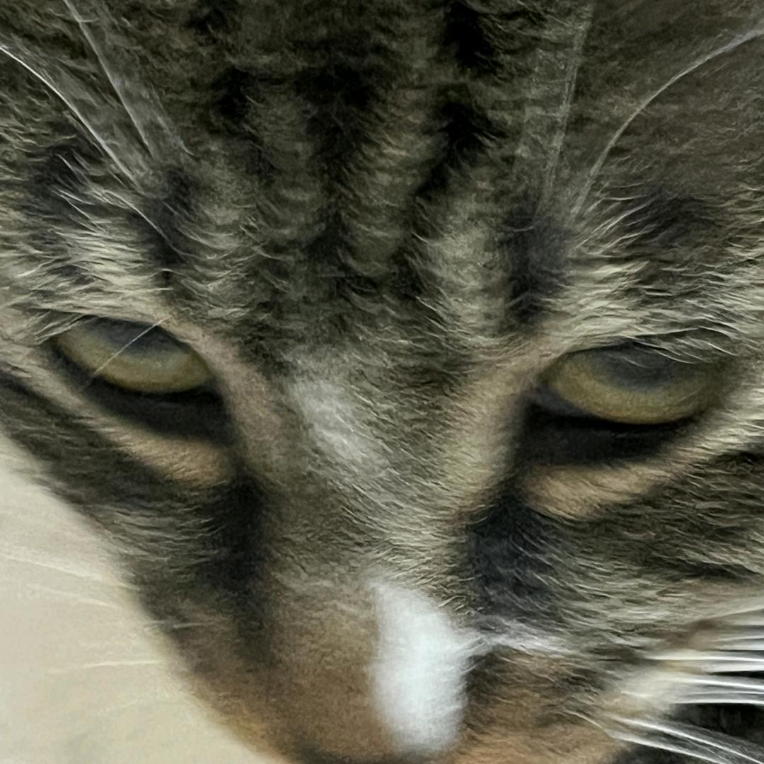 纳那