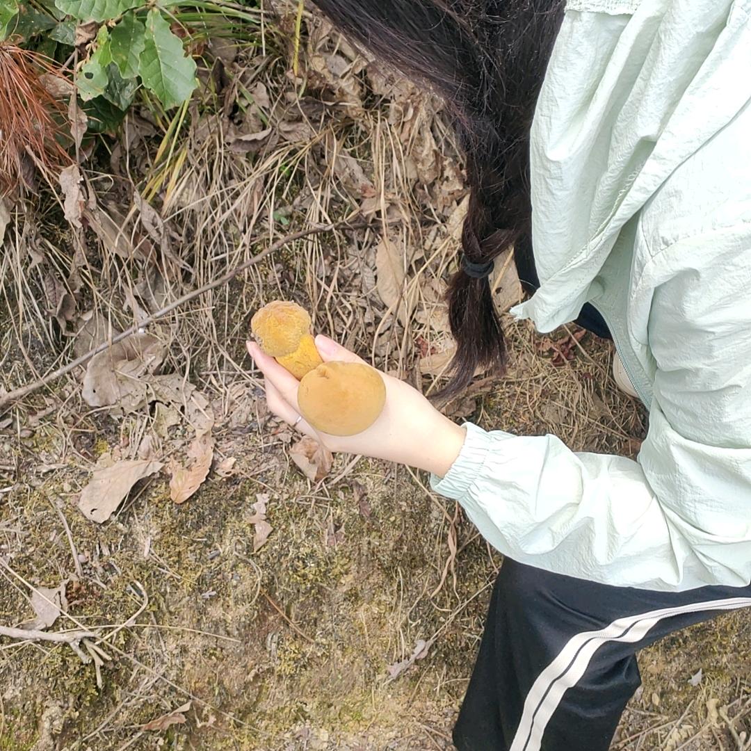 小张分享