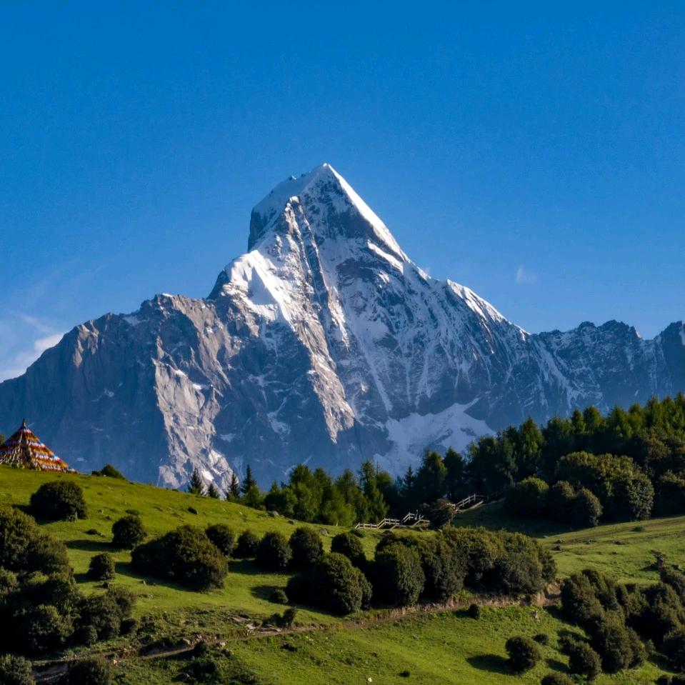 lonewolf随拍（🐯）停更中