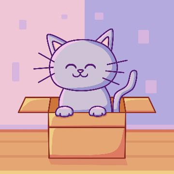 纸盒猫