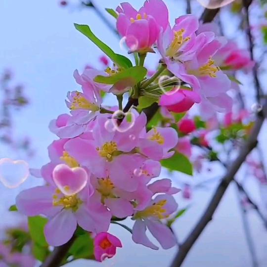 珍惜有缘人