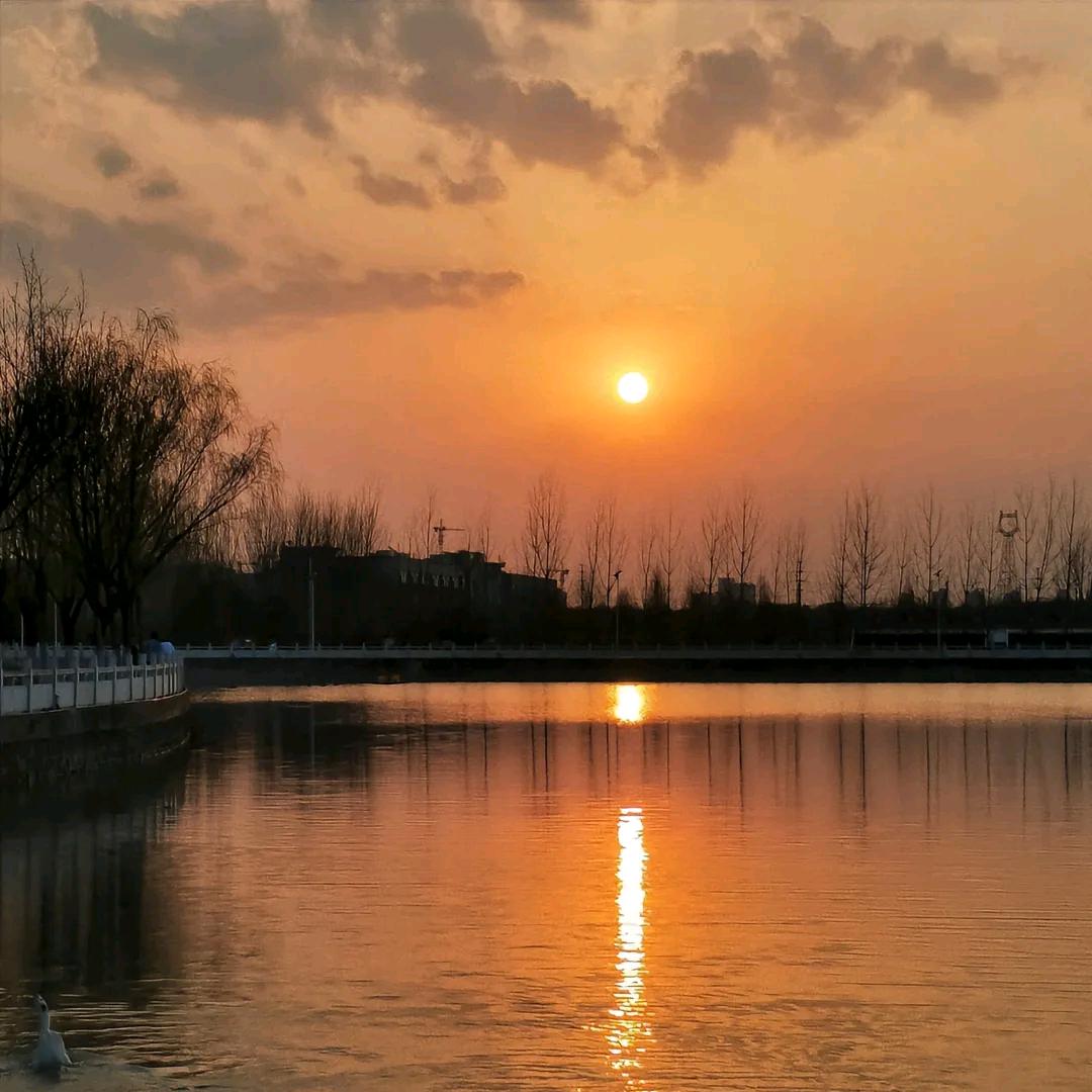 农产品， 魏郡꧔ꦿ᭄未来；可期✔