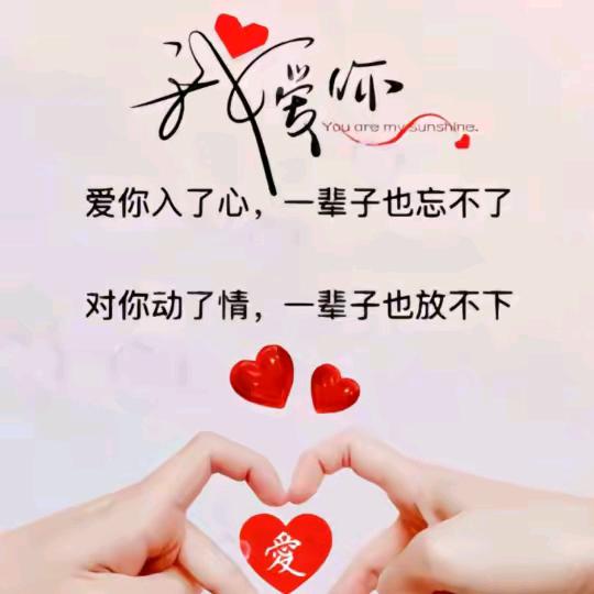 独宠安安