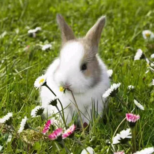 🌻一生平安🍀