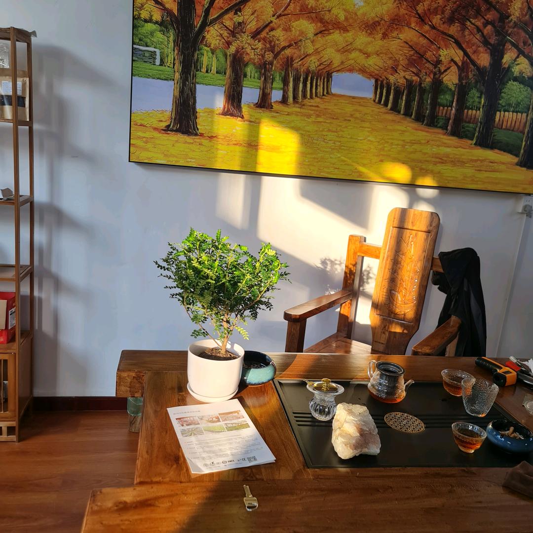 皓天烁石墨烯科技