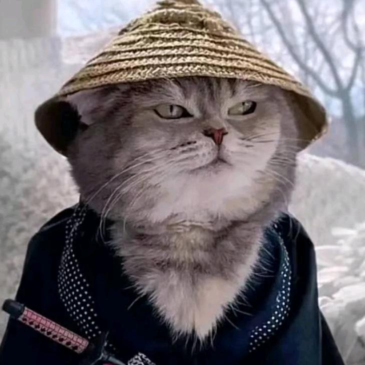 云顶夜猫（英雄联盟）