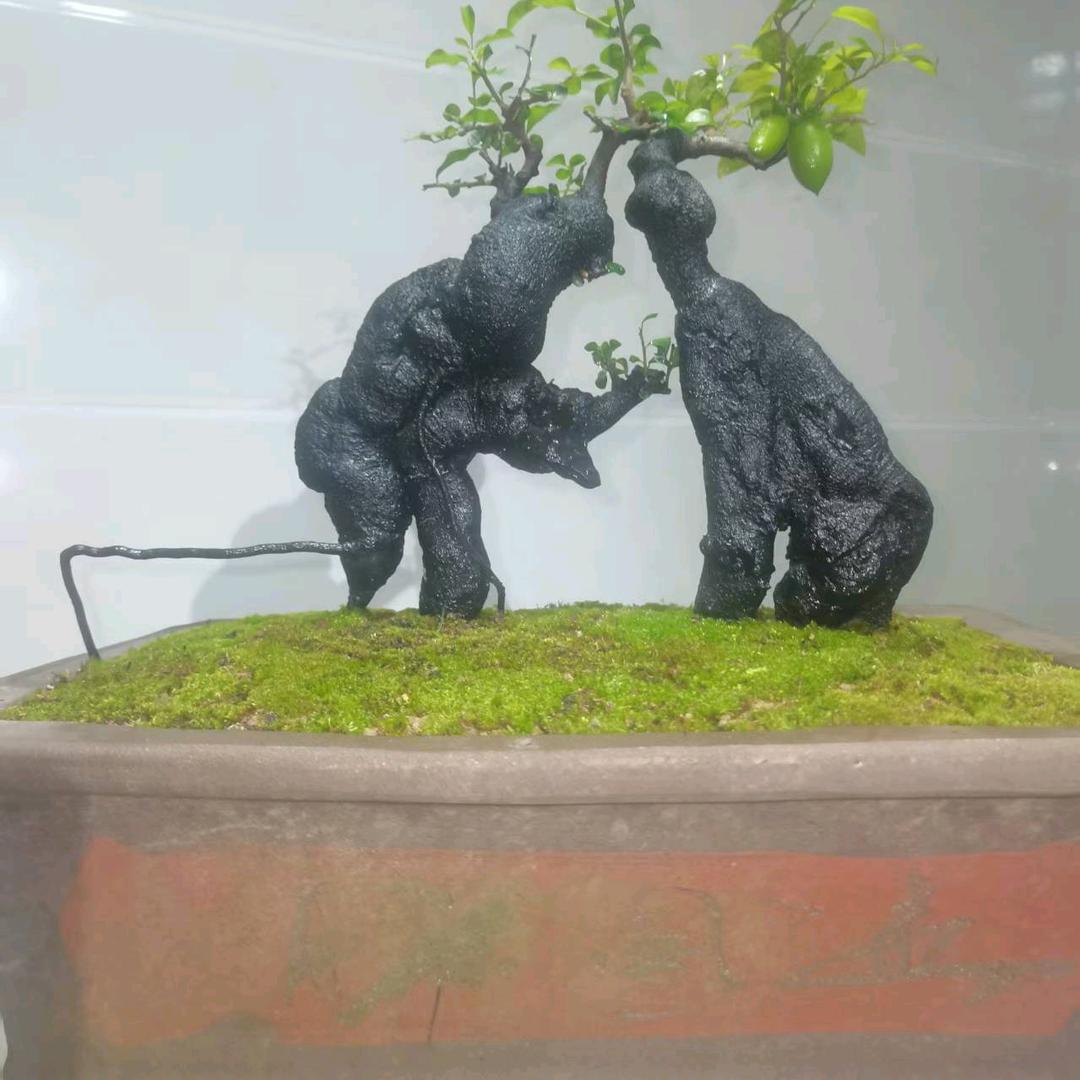 兽药