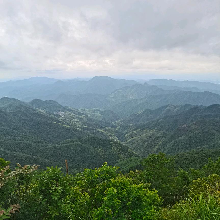 还吹着风
