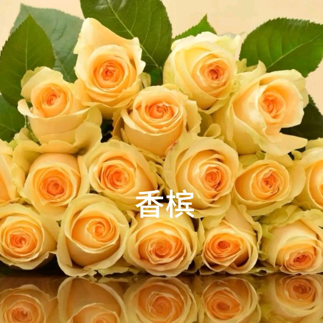 呈贡区花奔奔花卉店