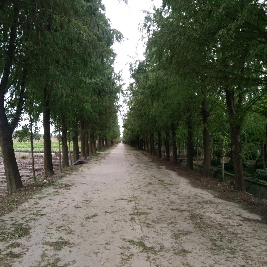 顺心顺意