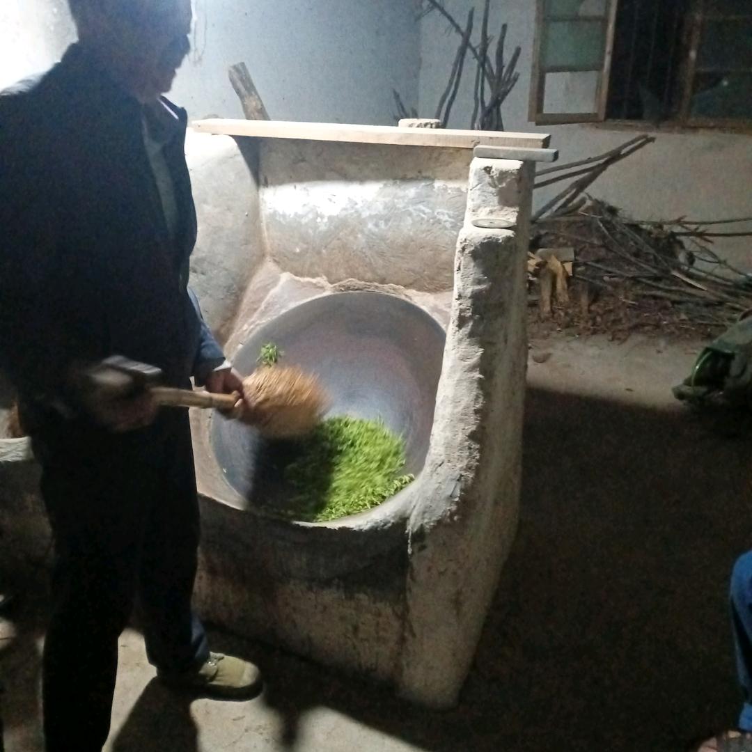 满口茶香 手工信阳毛尖