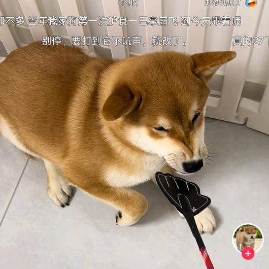 我不是黑客