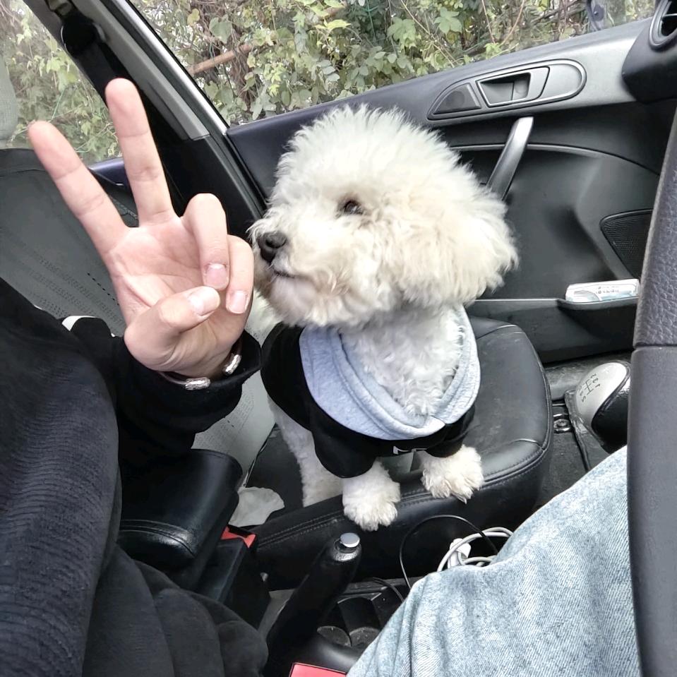 请叫我杨肉串🍢