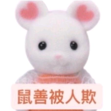不吃菠萝爱吹雪