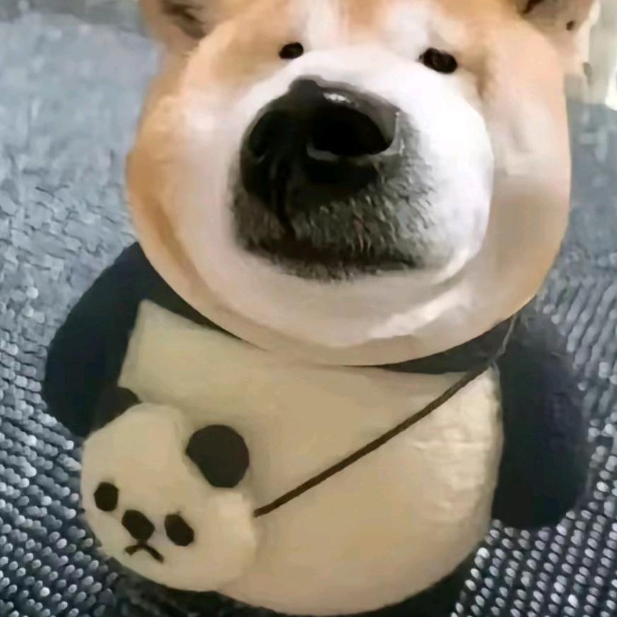 读完了依赖