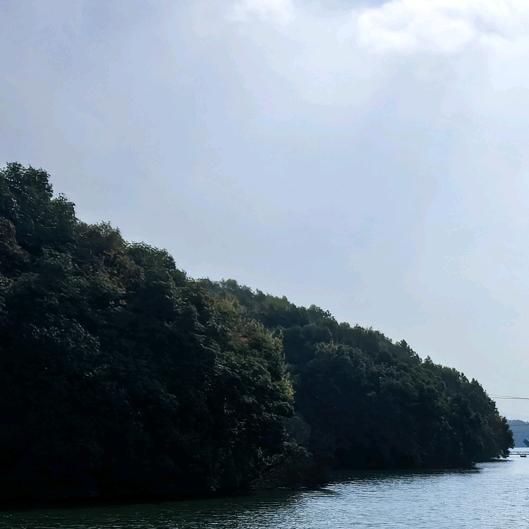 校园文化装饰