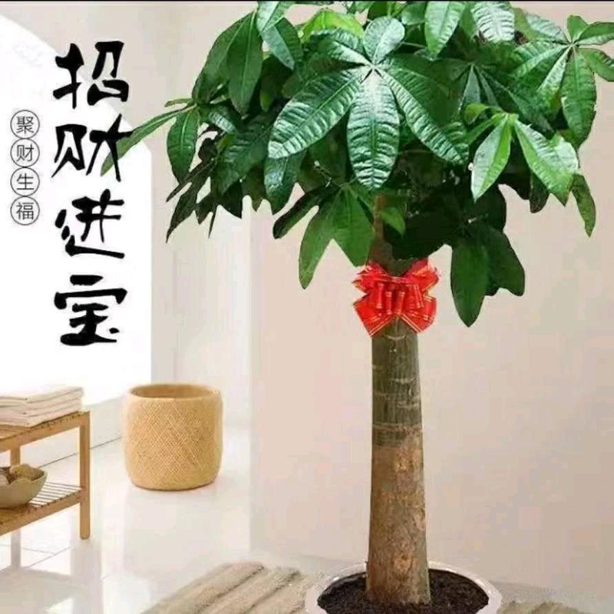 张卫祥