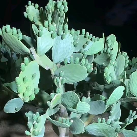 努力拼搏只为明天