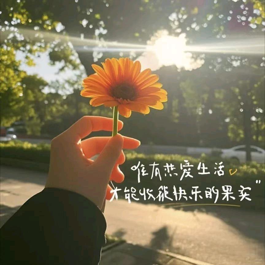 梦梦儿_