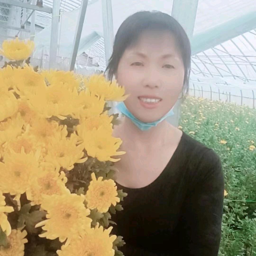 花好月圆