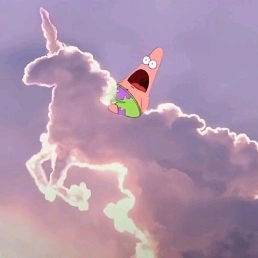 卷柏