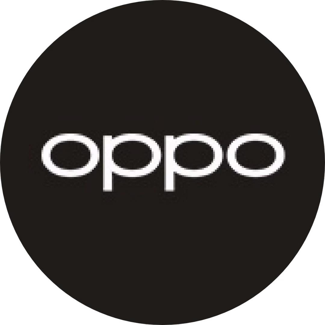 OPPO官方授权体验店(晋城星悦城店）