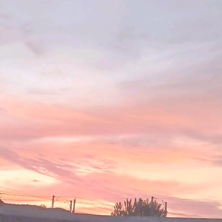 专心