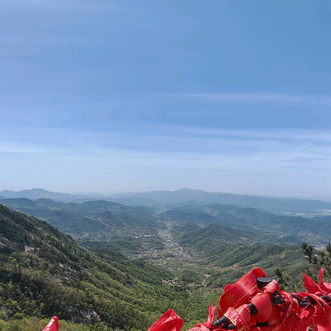 小老虎