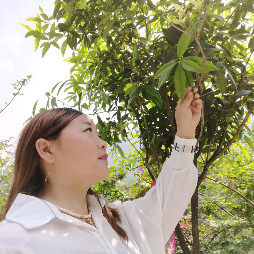 放羊大姐