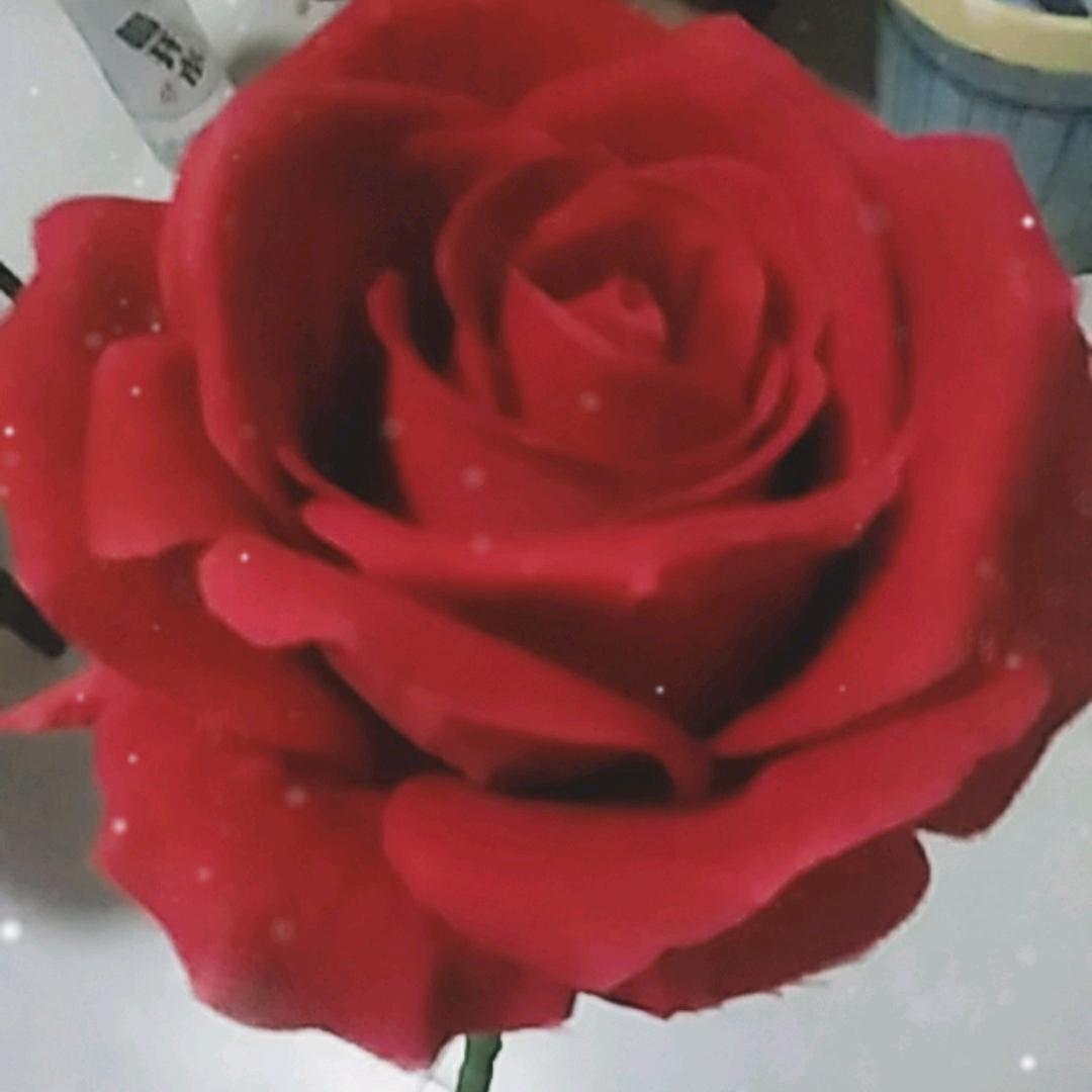 小花(开播号看主页)