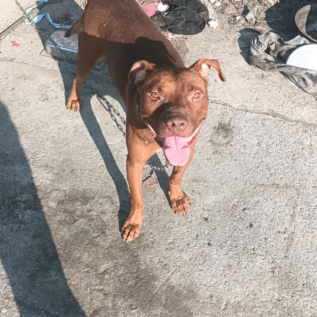 苏南护农队机油手