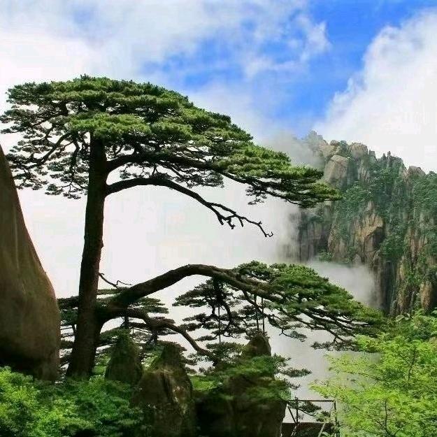 裕田小梁🇨🇳