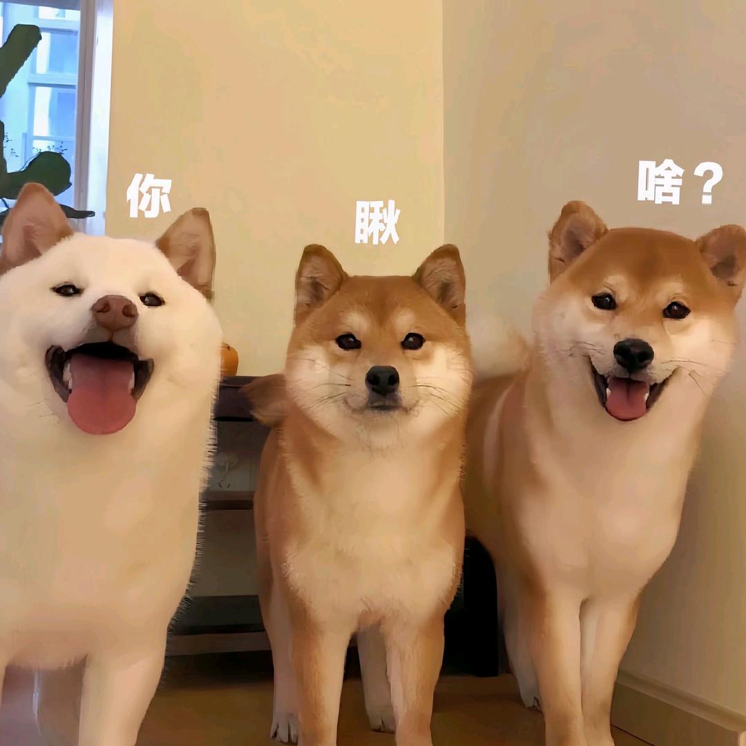 古希腊掌管反差的神？头像