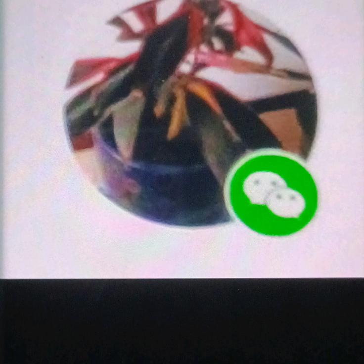 张霞2头像