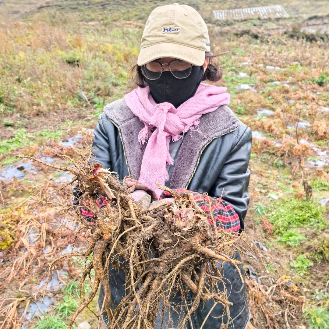 漳县陇上岷滋补店