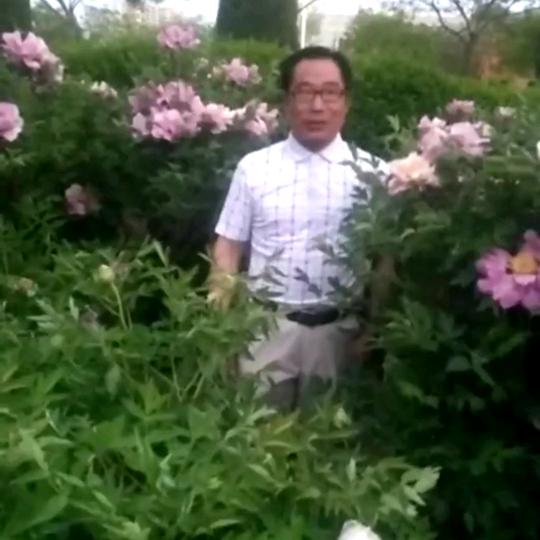随缘