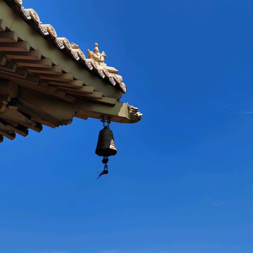 聽濤觀海
