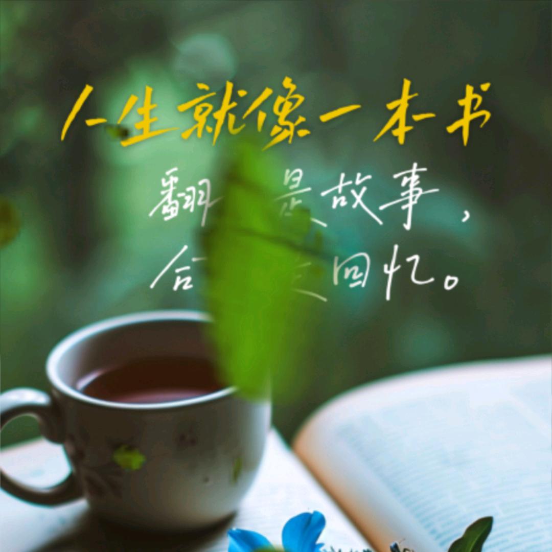 雨馨
