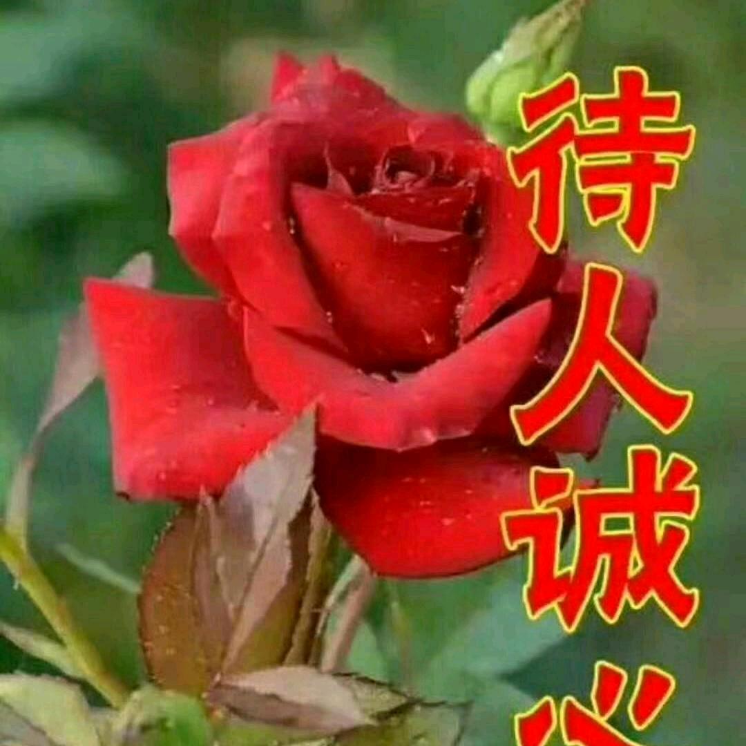 六零后的珍珍
