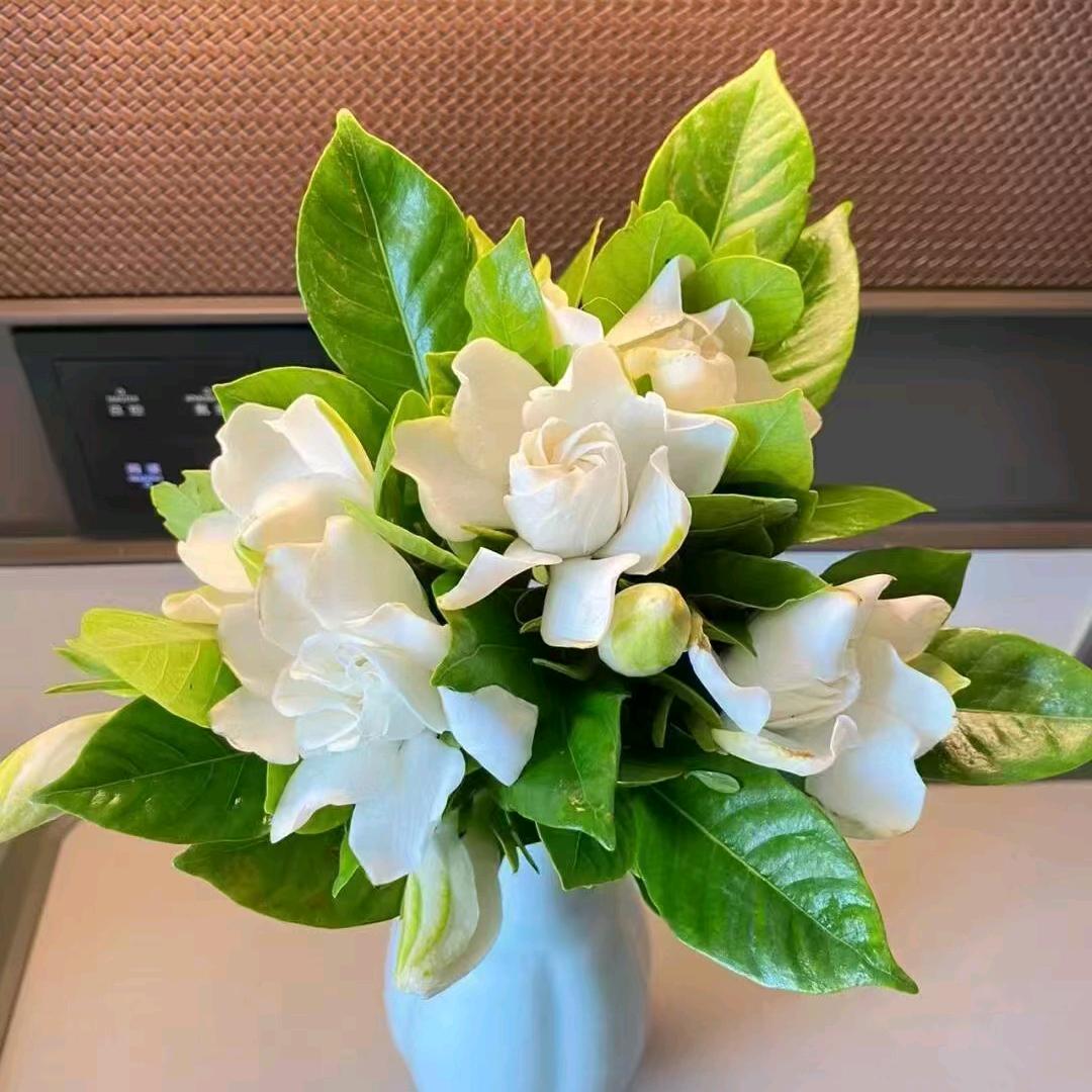 千与千寻小朋友