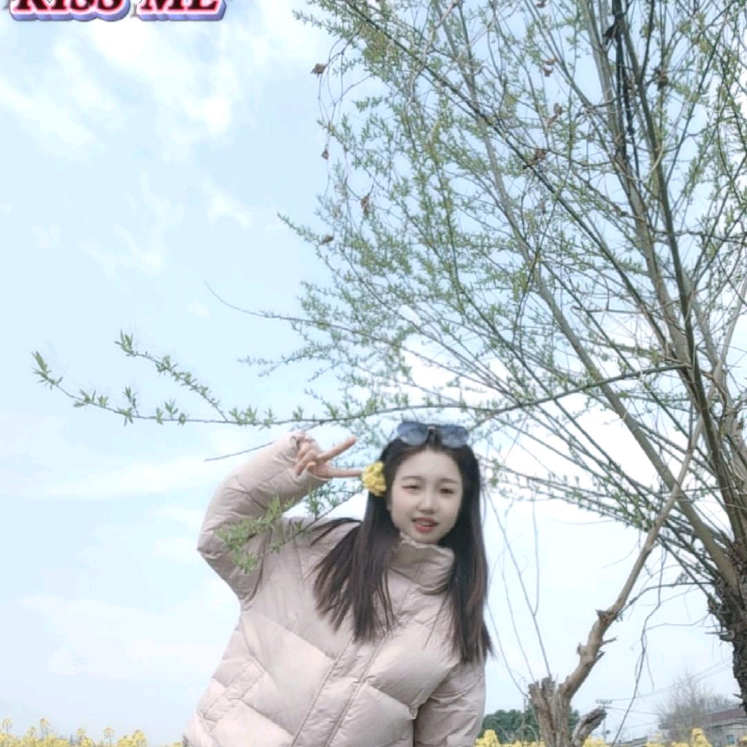 小七（小拉出行日记篇）