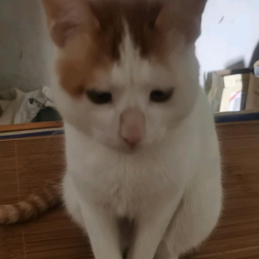 留在梦里